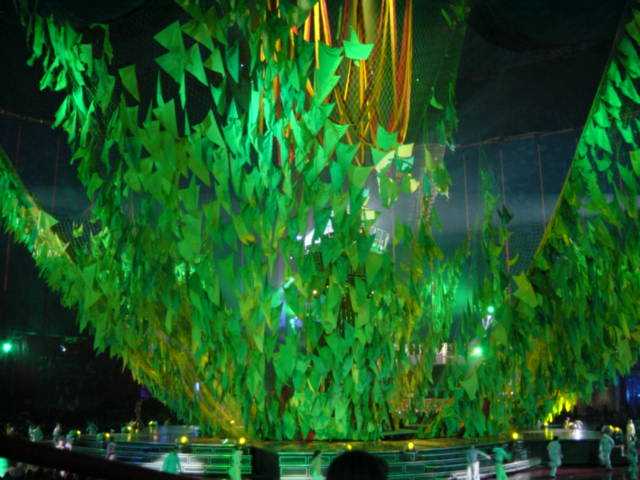 00065 WoooOOOoooOO Camoflague.JPG